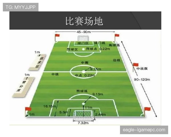 提问科普型：人工草场对足球比赛规则有哪些特别要求？